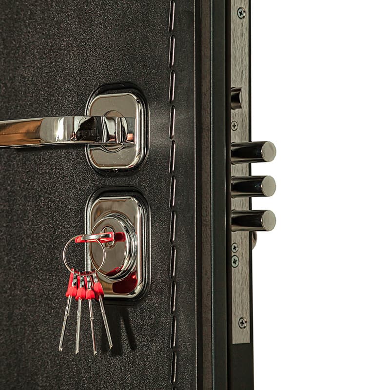Geöffnete Haustür von der Seite: drei ausgefahrene Rundbolzen der Mehrfachverriegelung neben Türgriff und Schließzylinder